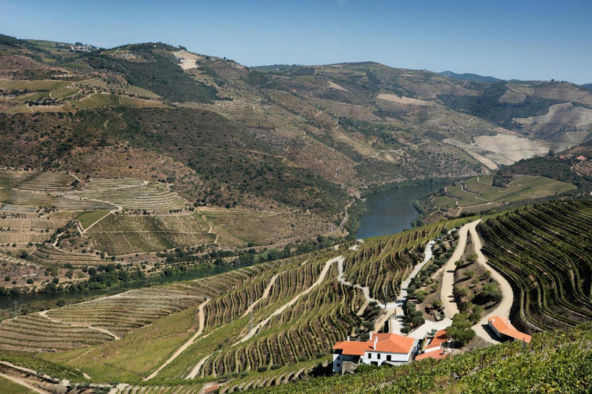 Готель Quinta Da Gricha Ervedosa do Douro Екстер'єр фото