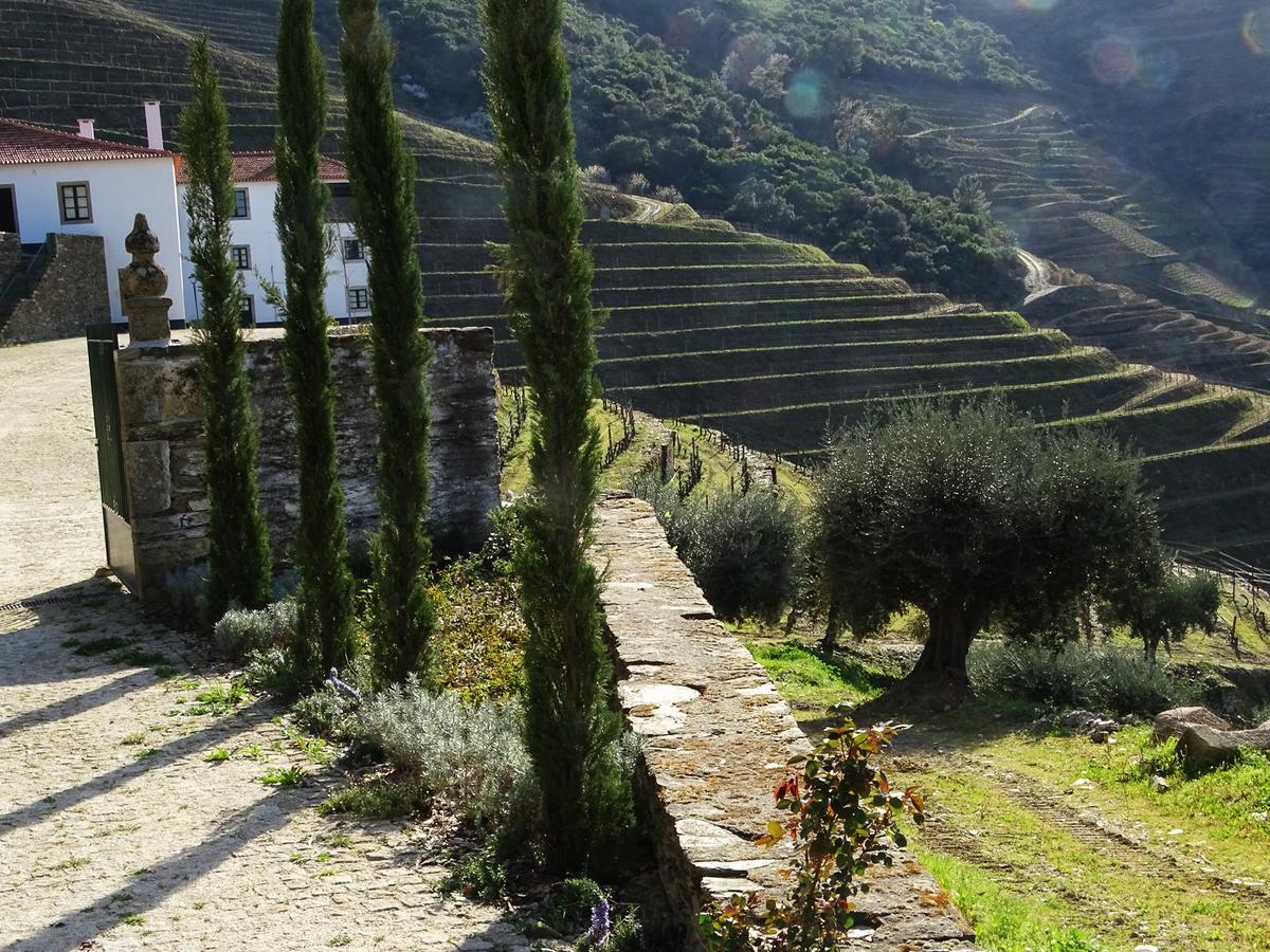 Готель Quinta Da Gricha Ervedosa do Douro Екстер'єр фото