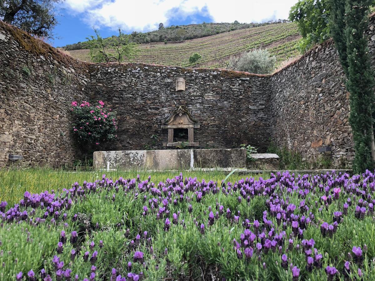 Готель Quinta Da Gricha Ervedosa do Douro Екстер'єр фото