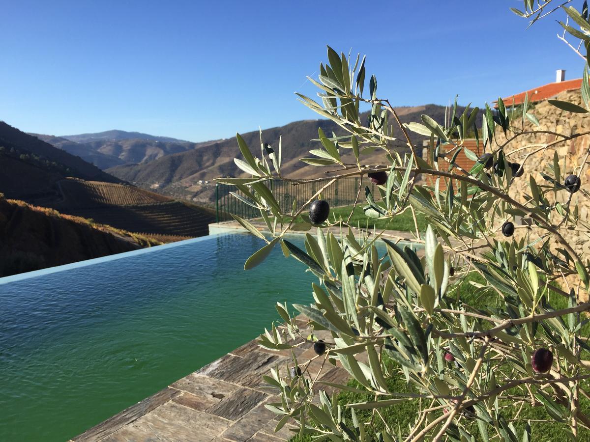 Готель Quinta Da Gricha Ervedosa do Douro Екстер'єр фото